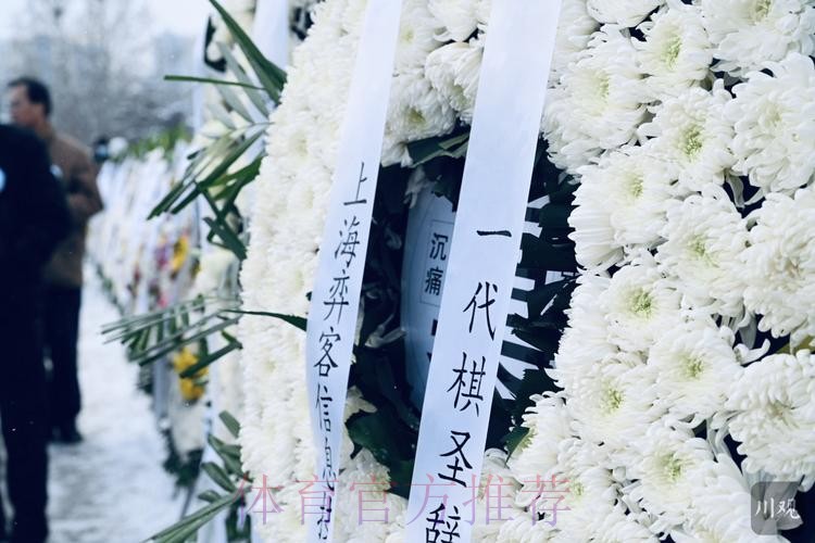 聂卫平遗体送别仪式在京举行